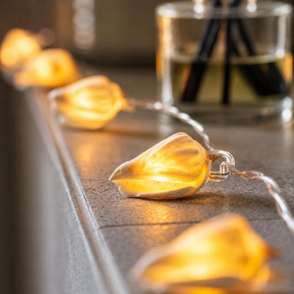 Guirlande lumineuse aux coquillages naturels — 10 LED blanc chaud, 1,50 m